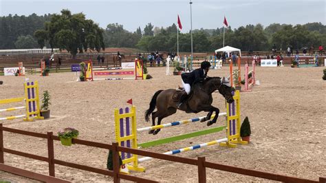 Le Royal Club Equestre Chellalate .